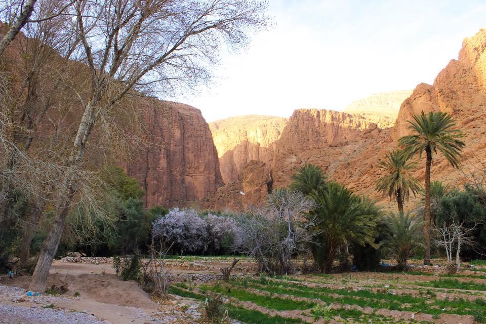 Dar Ayour Todra Gorges Ait Baha Luaran gambar